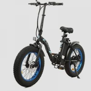 ECOTRIC 500W Electric Bike