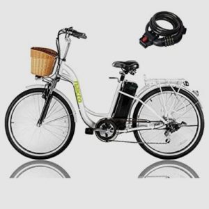 NAKTO 26_ 250W Cargo Electric Bicycle