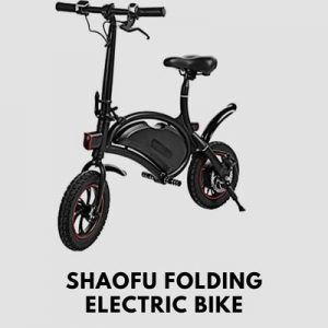 Shaofu Folding Electric Bike