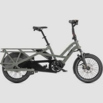 electric bike belt driven