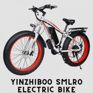 YinZhiBoo SMLRO Electric Bike