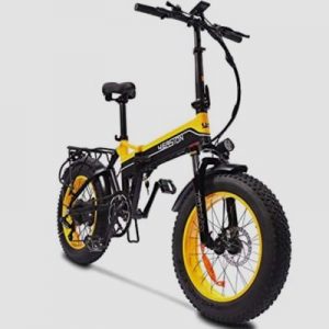 easion 1000W Fat Tire Electric Bike